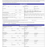 American Eagle Job Application Form Free Download