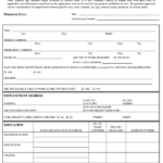 Blackjack Pizza Job Application Form