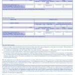 Cms 100 Application Fill Out Printable PDF Forms Online