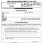 FREE 30 Medical Application Forms In PDF MS Word doc