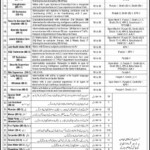 Government Of Pakistan Ministry Of Defence MOD Jobs Via NTS