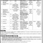 Jobs In WAPDA Medical Services Doctors 2021 Online Form Download