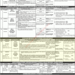 Lecturer Jobs In Punjab Higher Education Department December 2021