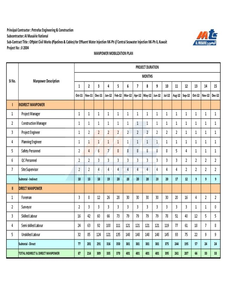 Manpower Mobilization Plan Action Plan Template How To Plan Job 