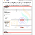 PDF Maharashtra Caste Certificate Form PDF Download InstaPDF