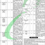 Punjab Institute Of Cardiology Jobs 2023 Application Form