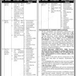 Sindh High Court Data Processing Assistant STS Jobs 2022 Online Form