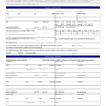 2021 Job Application Form Fillable Printable PDF Forms Handypdf