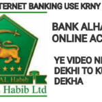 BANK ALHABIB ACCOUNT ONLINE USE KRNY KA TRIQA ONLINE ACOUNT USE BANK