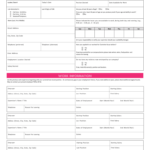 Charlotte Russe Job Application PDF Form Fill Out And Sign Printable