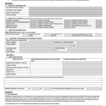 City Of Cape Town Job Seekers Registration Form PDF Download Fill Out