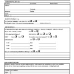 Free Job Application Form Template DocTemplates