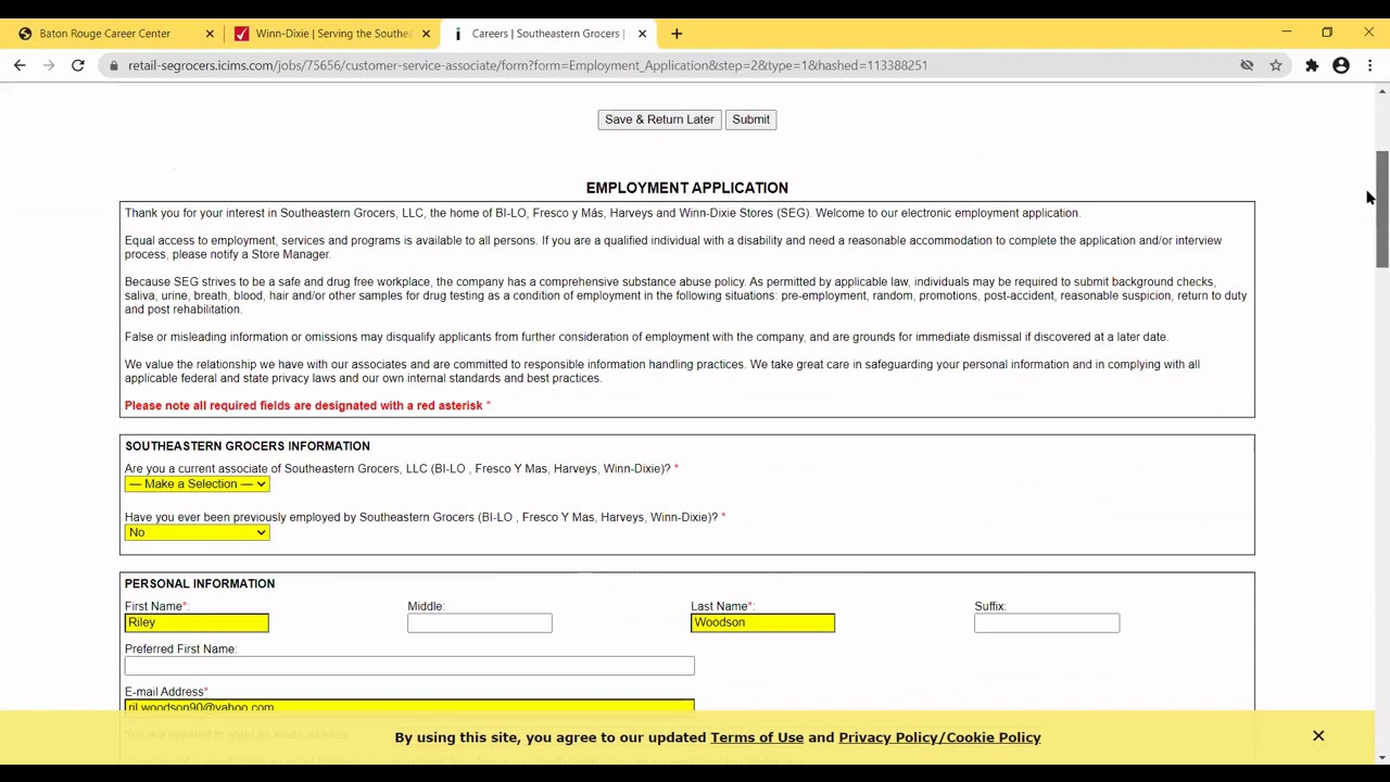 Winn Dixie Job Application Form Pdf