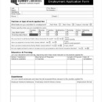 No Frills Application Form Employment