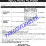 PO Box 658 Lahore Jobs 2021 Public Sector Organization Job