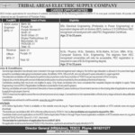 TESCO WAPDA Jobs 2019 NTS Application Form Download Tribal Areas Electric