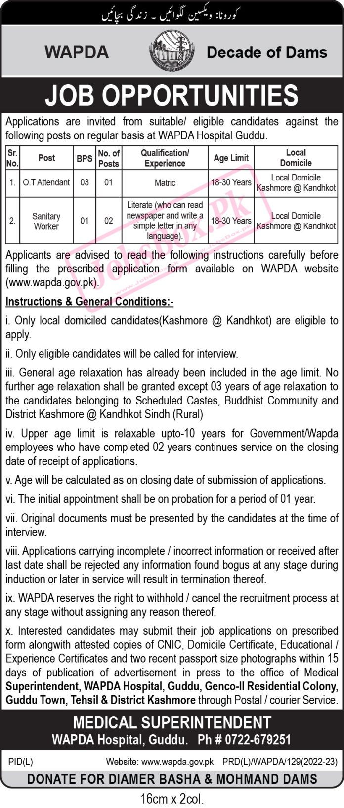 WAPDA Jobs 2023 Download Application Form Www wapda gov pk Green Jobs 9